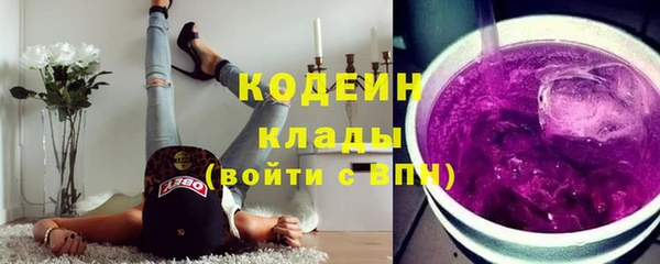 шишки Белоозёрский