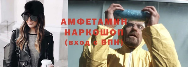 шишки Белоозёрский