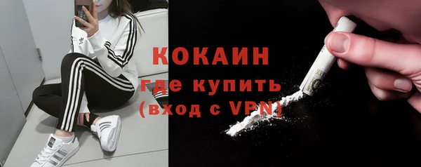 шишки Белоозёрский